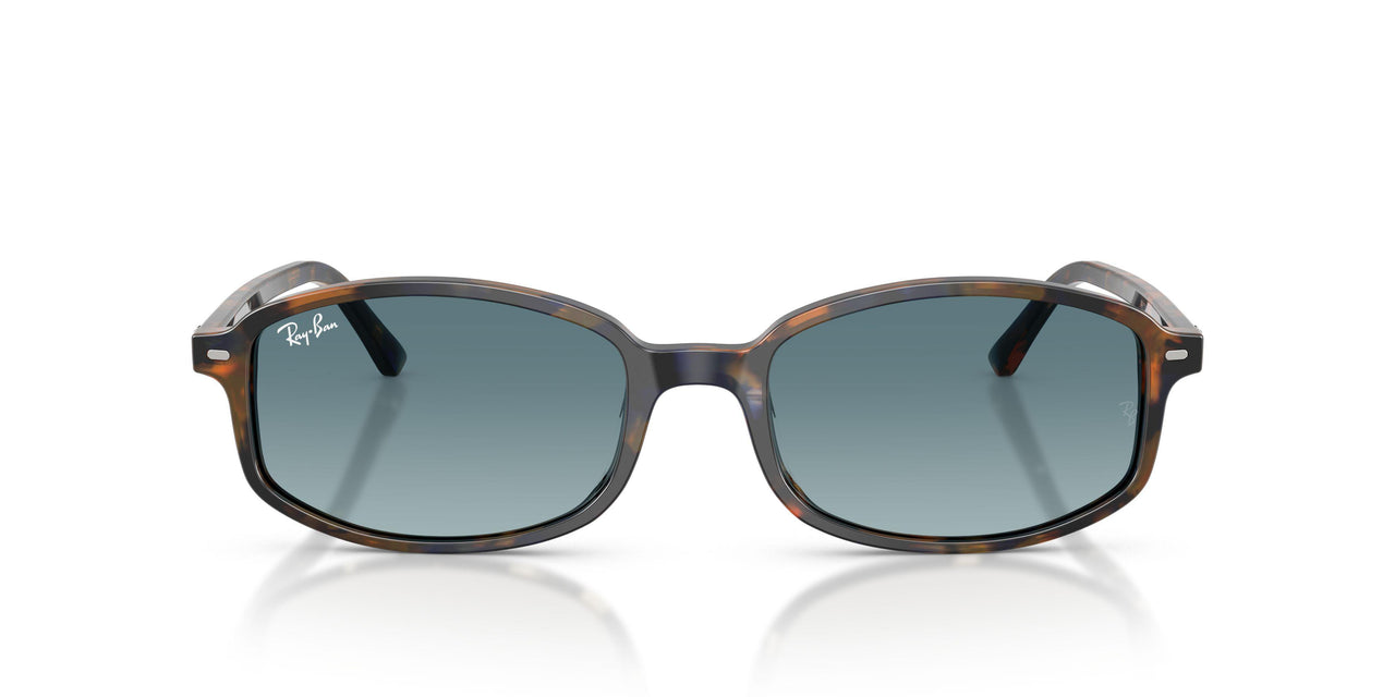13563M - Tortoise - Blue Gradient Grey