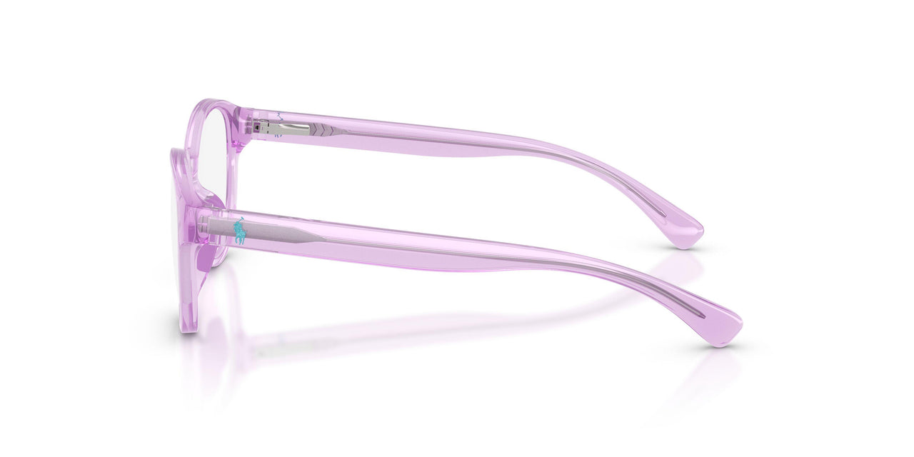 6251 - Violet