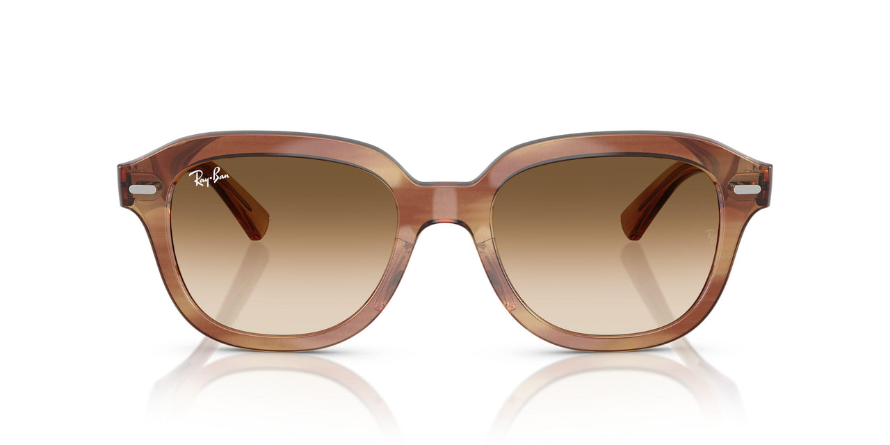 140351 - Tortoise - Clear Gradient Brown