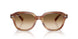 140351 - Tortoise - Clear Gradient Brown