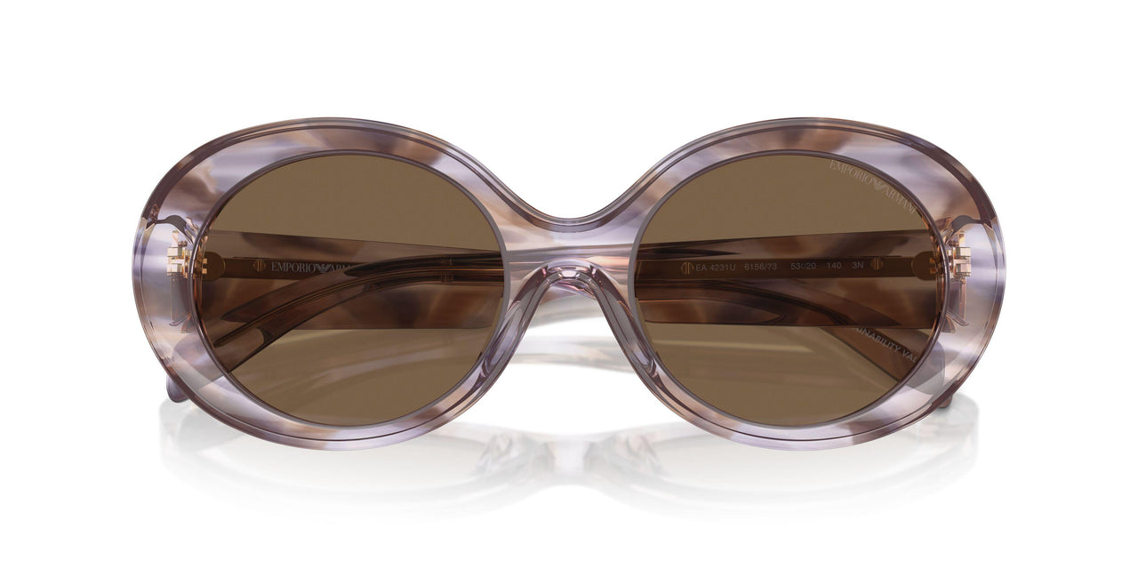 615673 - Tortoise - Dark Brown