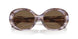 615673 - Tortoise - Dark Brown