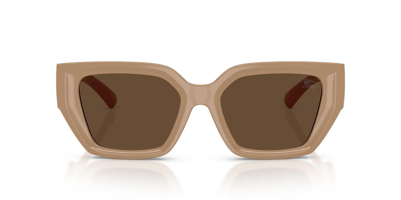 399073 - Beige - Dark Brown