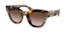 VAU6S1 - Tortoise - Brown Gradient