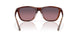912408 - Tortoise - Rose Gradient