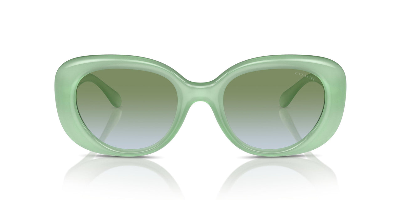 5807I7 - Green - Green Blue Gradient