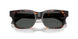 550987 - Tortoise - Dark Grey