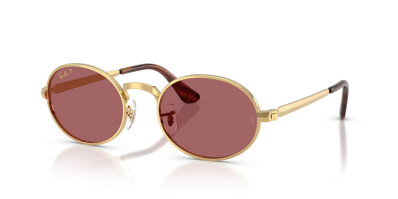 001/AF - Gold - Purple Polarized