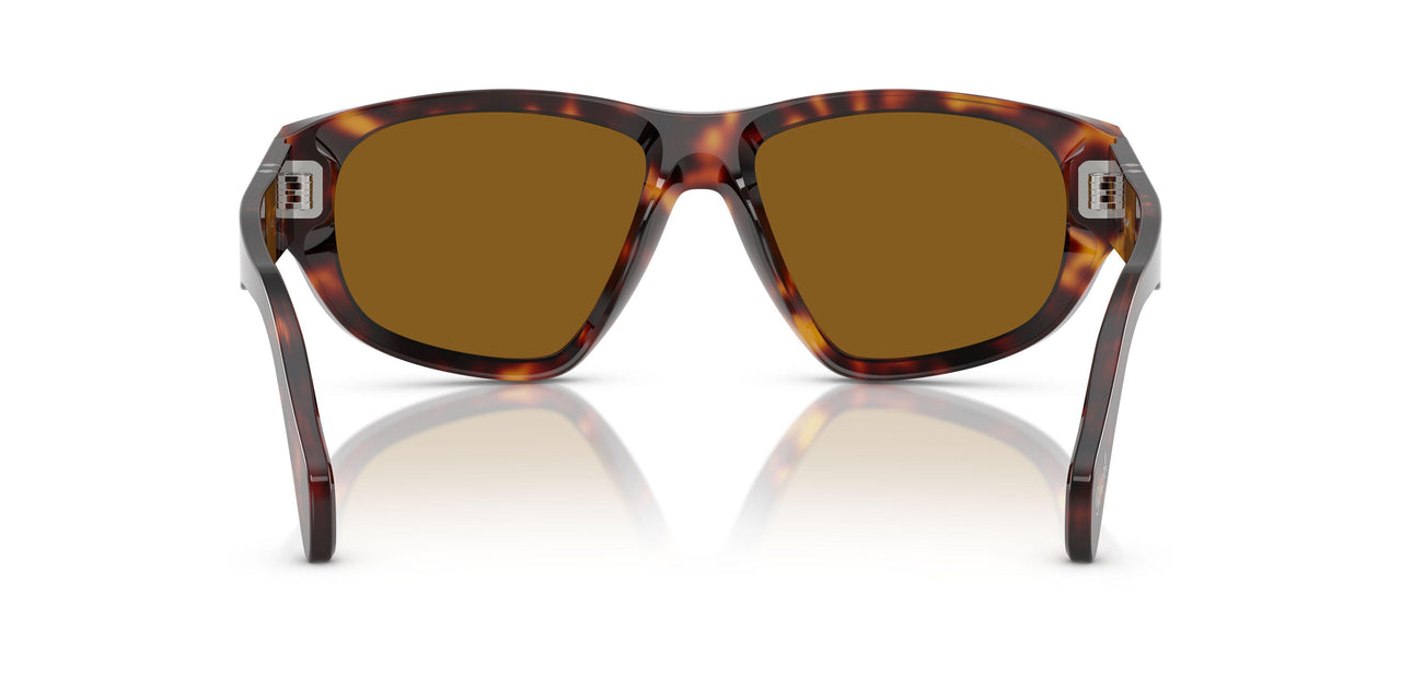 24/33 - Tortoise - Brown
