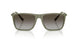 838113 - Green - Gradient Brown