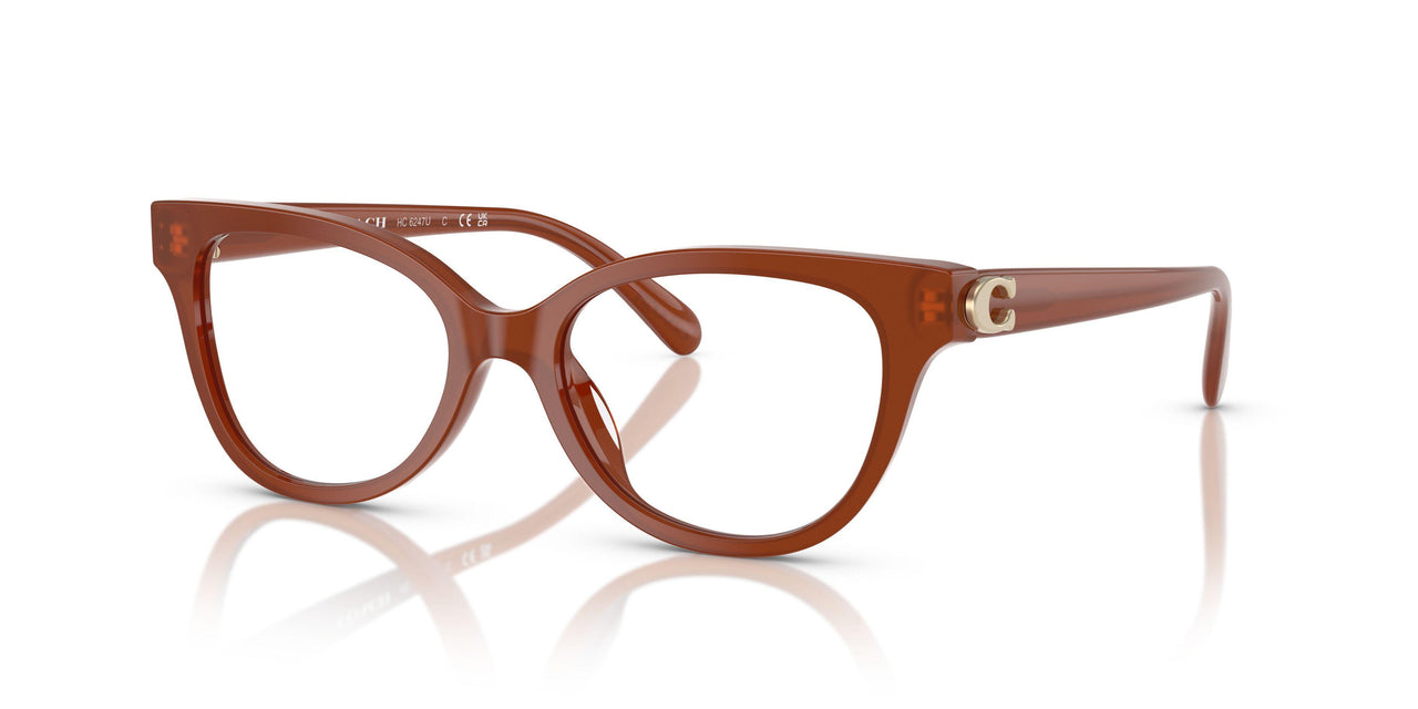 5841 - Brown