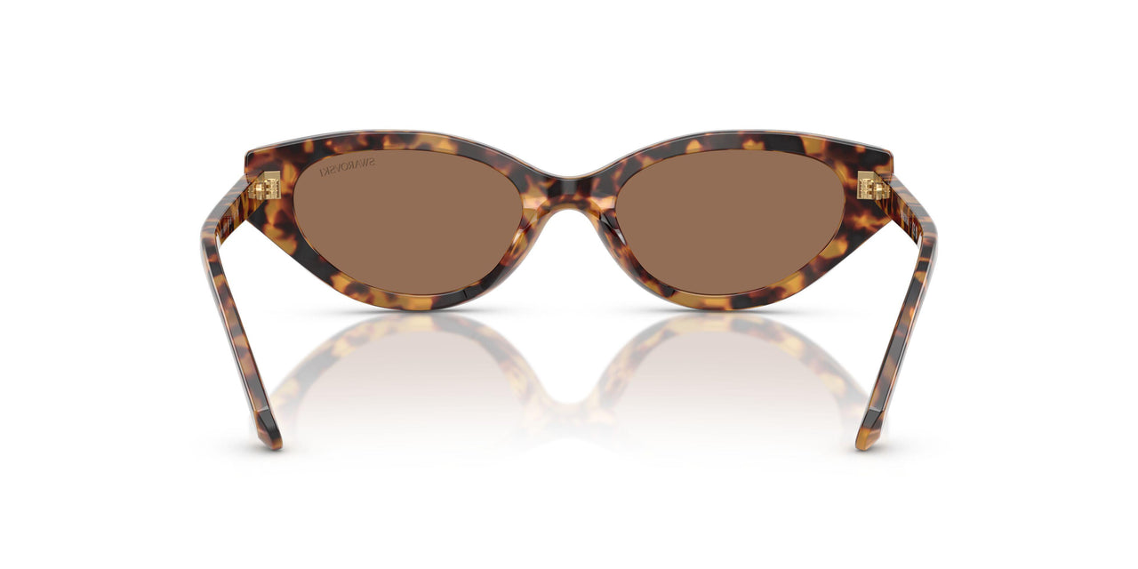 104073 - Tortoise - Dark Brown