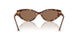104073 - Tortoise - Dark Brown