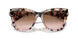 334513 - Tortoise - Brown Pink Gradient