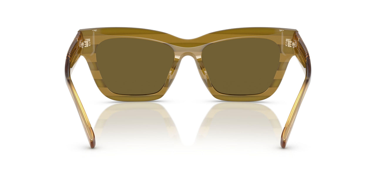 318073 - Multicolor - Olive Brown