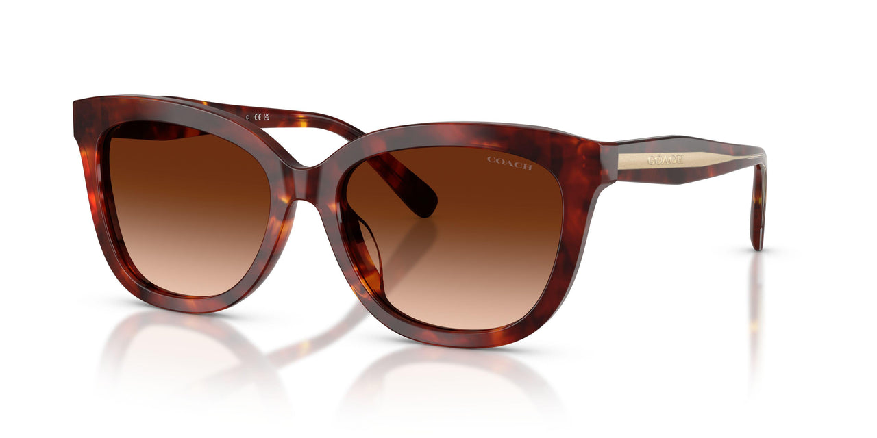 Coach Cdp53 8453U Sunglasses