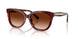 593874 - Tortoise - Brown Gradient