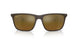 6124A3 - Brown - Brown Mirror Gold Polar