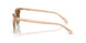 551883 - Brown - Dark Brown