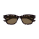 002 - Havana - Brown