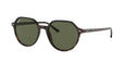 902/31 - Havana - Green / 53
