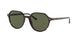 Ray-Ban Thalia 2195 Sunglasses