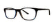 BLTRTS - Blue/Tortoise