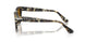 107133 - Tortoise - Brown