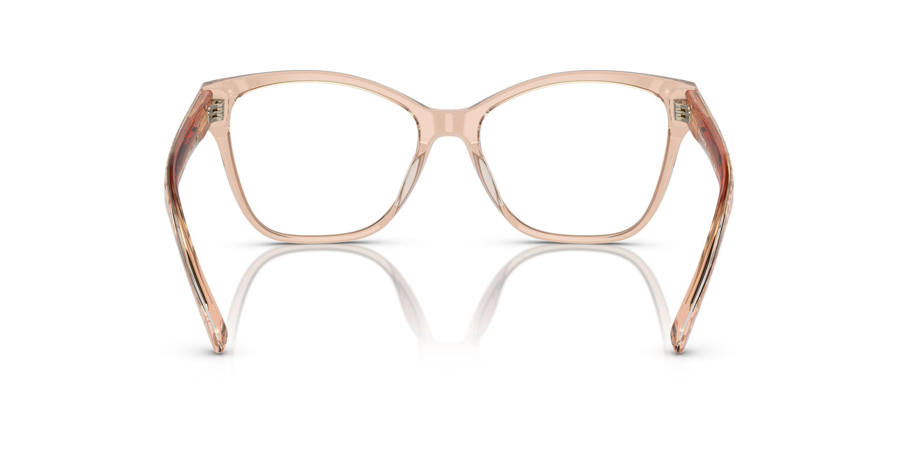 5561 - Brown