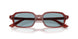 680980 - Brown - Blue