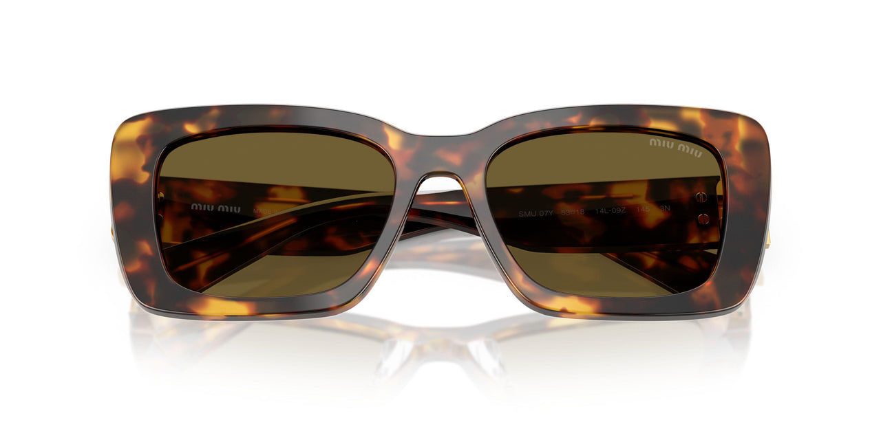 14L09Z - Tortoise - Dark Brown