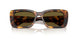 14L09Z - Tortoise - Dark Brown