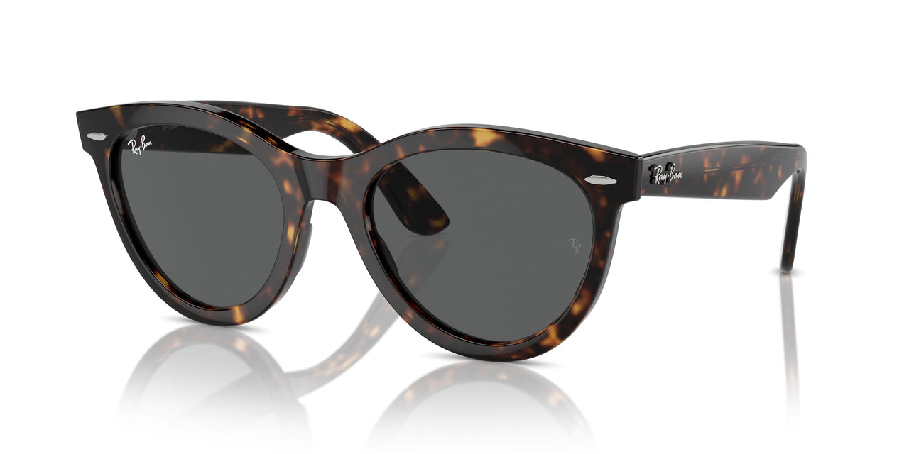 902/B1 - Tortoise - Dark Grey