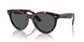 902/B1 - Tortoise - Dark Grey