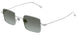 010 - Silver - Brown