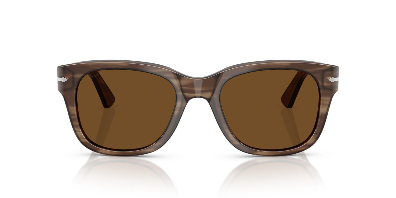120857 - Tortoise - Polar Brown
