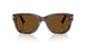 120857 - Tortoise - Polar Brown