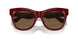 411973 - Red - Dark Brown