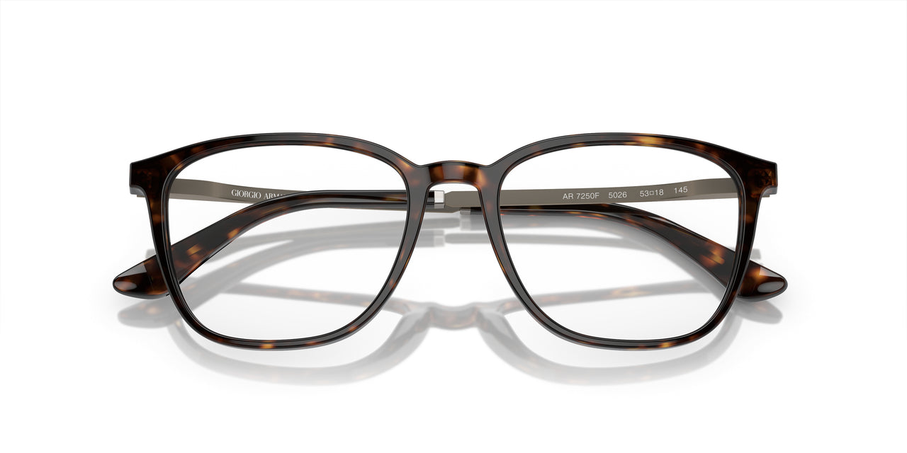 5026 - Tortoise