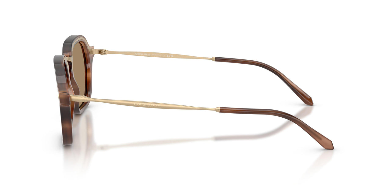 646573 - Brown - Dark Brown