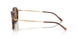 646573 - Brown - Dark Brown