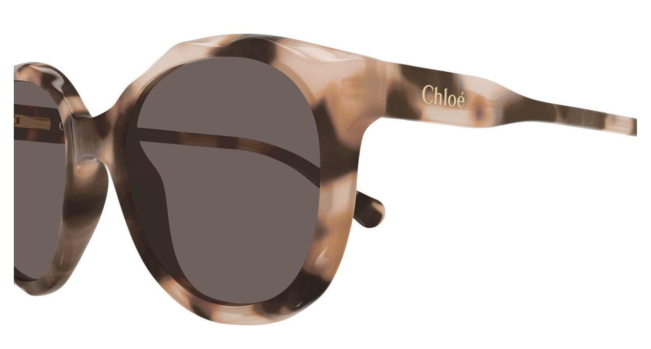 006 - Havana - Brown