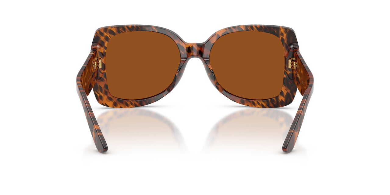347073 - Brown - Dark Brown
