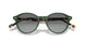 309211 - Green - Grey Gradient