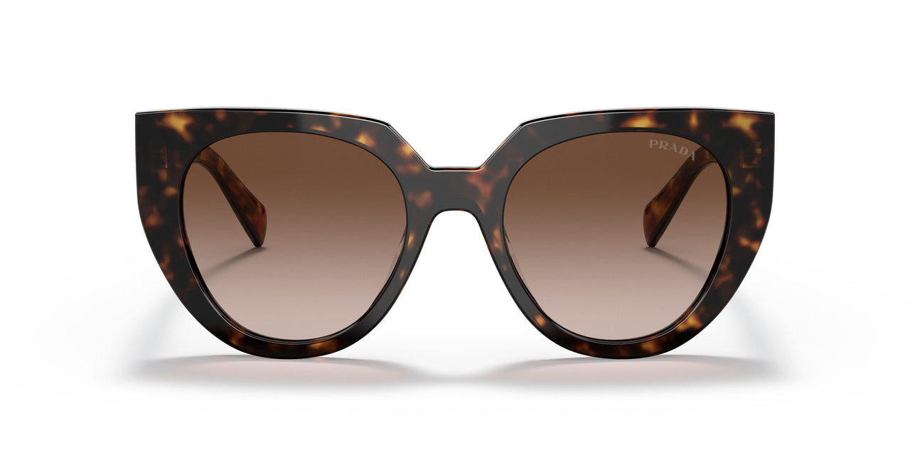 2AU6S1 - Havana - Brown Gradient