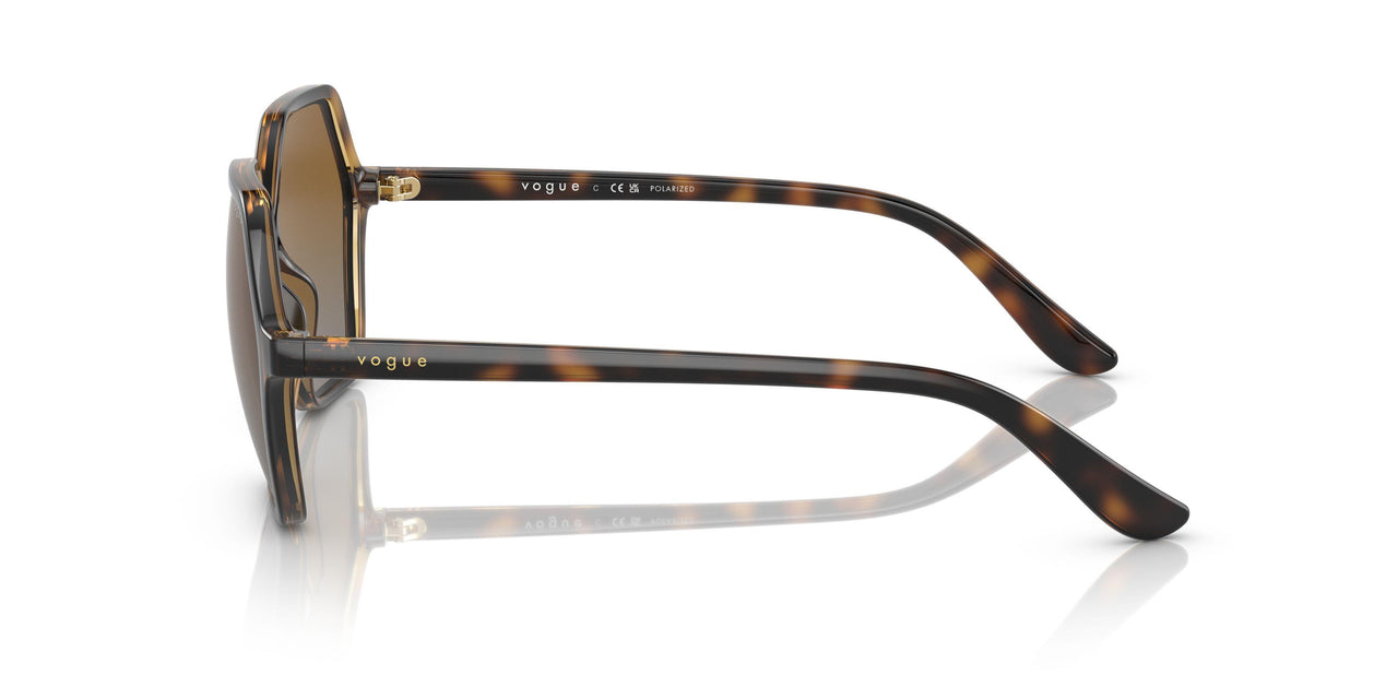 W656T5 - Havana - Polar Brown Gradient
