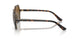 W656T5 - Havana - Polar Brown Gradient