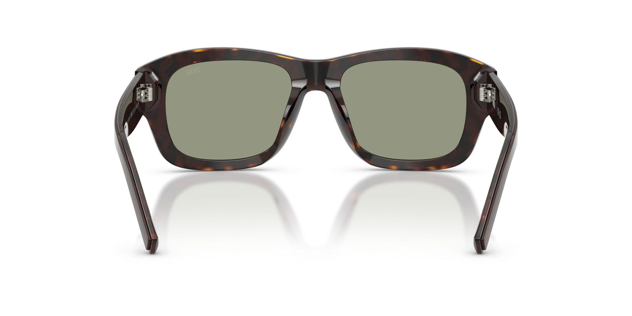 2069/2 - Brown - Green