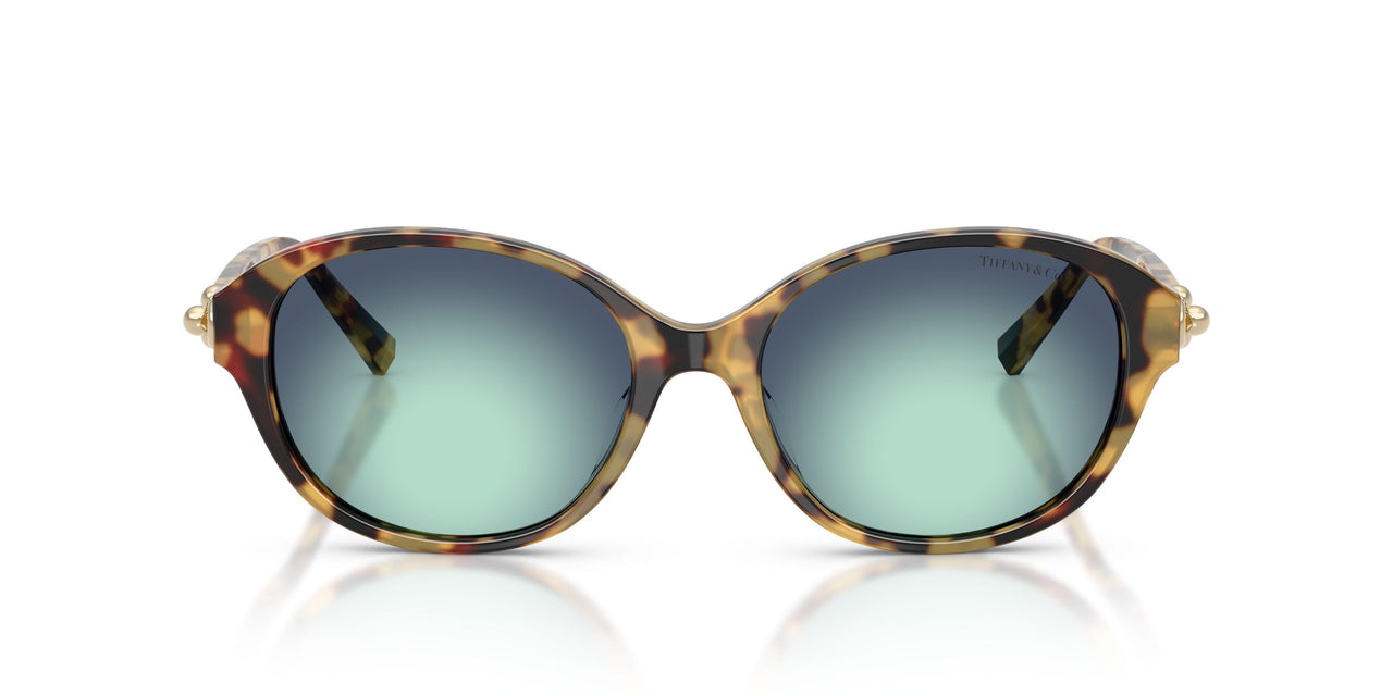 80649S - Tortoise - Gradient Blue