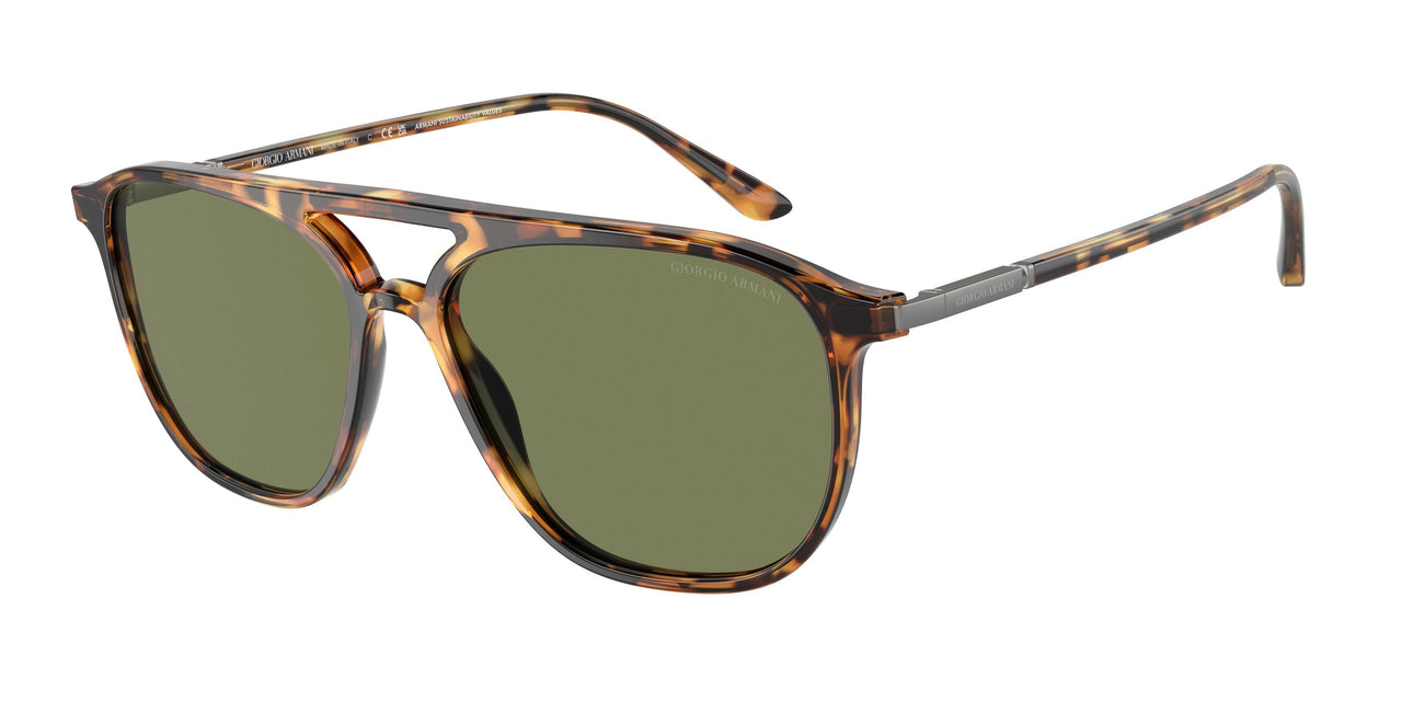 Giorgio Armani 8179F Sunglasses